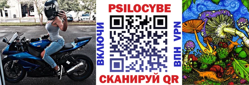 где купить   Иноземцево  Галлюциногенные грибы Magic Shrooms 